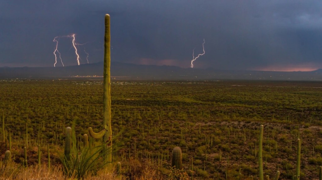 Water Ways: Part&nbsp;2